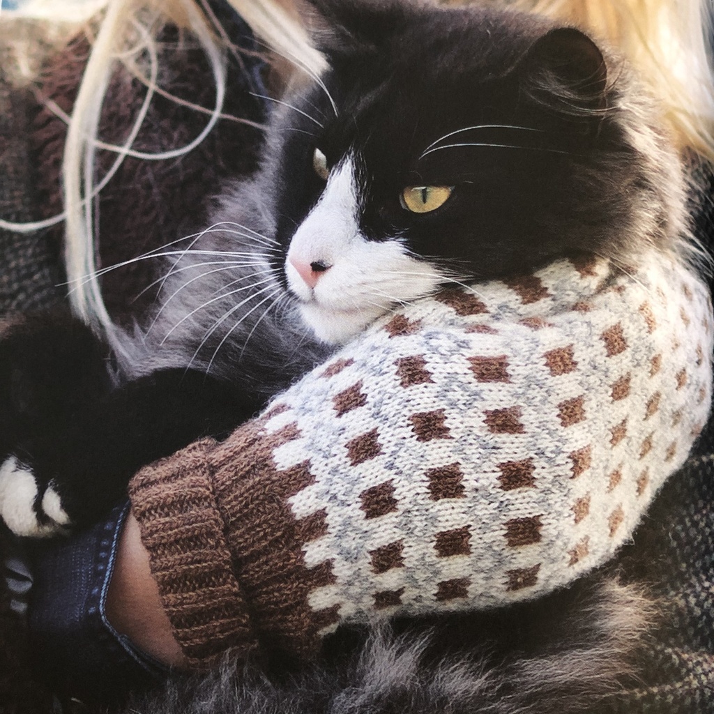 Icelandic mittens