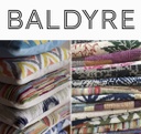 Baldyre