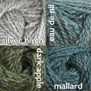 British Breeds Aran