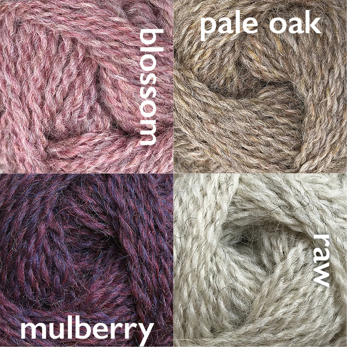 British Breeds Aran