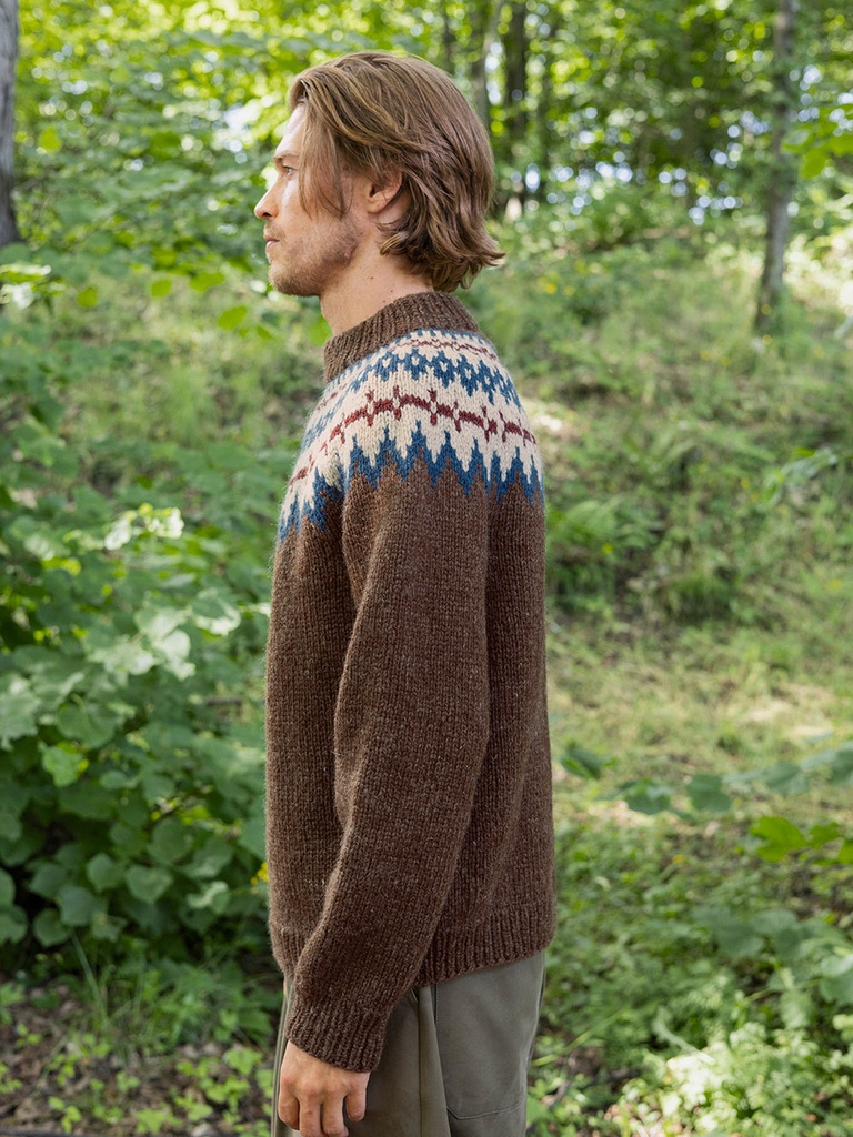 2410-06 Polar Light Herregenser