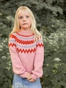 2411-02 Polar-light Barnegenser