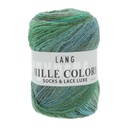 Mille Colori Socks &amp; Lace Luxe