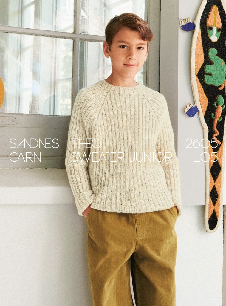 2605-05 Theo Sweater Junior   