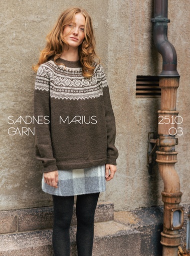 2510-03 Marius, let A-facon