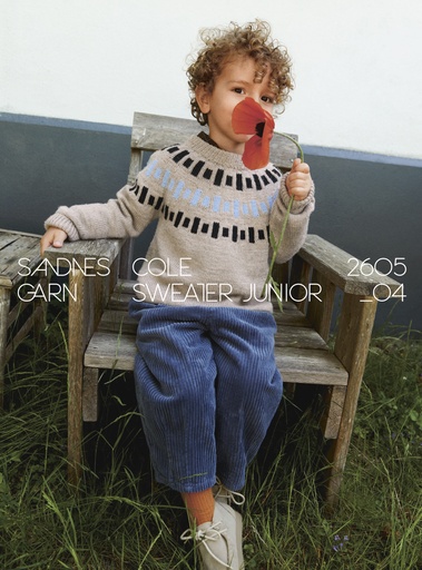 2605-04 Cole Sweater Junior  
